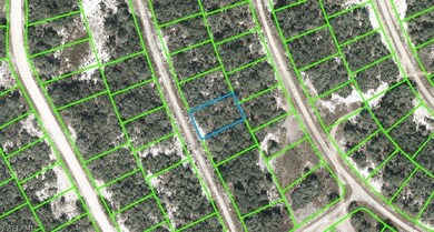 223 Sunway Dr, Lake Placid, FL 33852 - photo 2