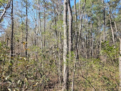 0, Georgetown, SC 29440 - photo 3