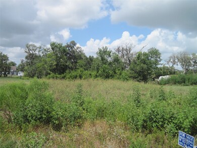 0 Cr 461 unit 88803174, Brazoria, TX 77422 - photo 6