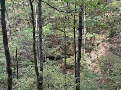 000 Hwy 65, Clinton, AR 72031 - photo 2