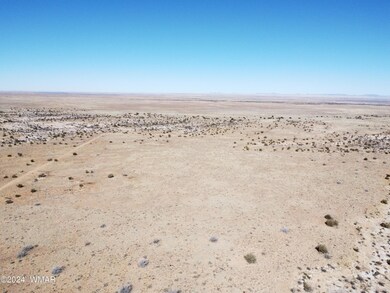 DJI_0225