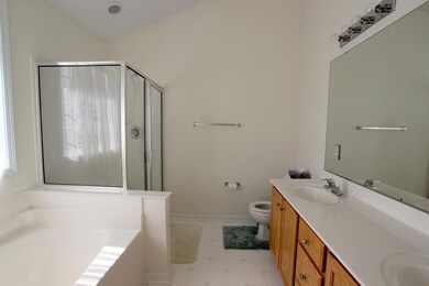 Photo #7