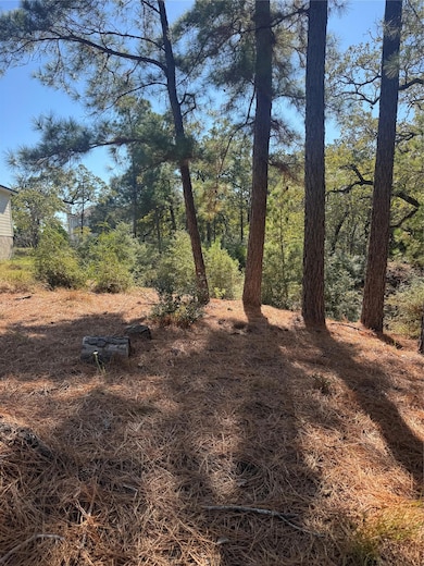 Lot 97 Kaelepulu Dr, Bastrop, TX 78602 - photo 3