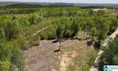 0 Landfill Rd unit 21438392, Ashland, AL 36251 - photo 7