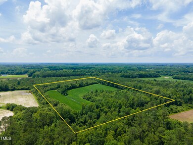 MODIFIED-2025-06-18-DJI_0198