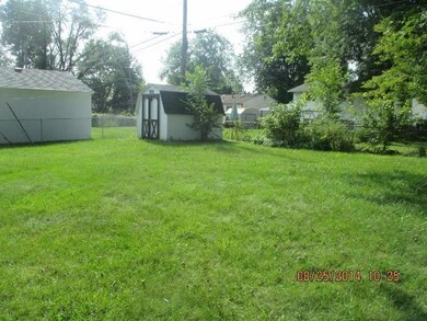 Back yard