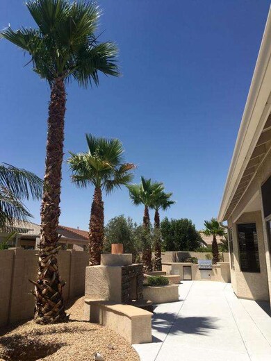 backyard with palm trees