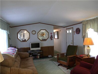 Living Room Nice size Living Room - the window tre