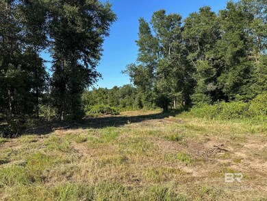 0 Newman Rd unit 3 365680, Mobile, AL 36695 - photo 2