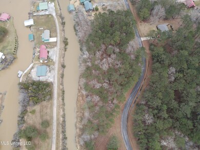 0 Pine Tree Rd unit 4107804, Pachuta, MS 39347 - photo 6