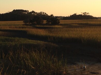 View of marsh across river