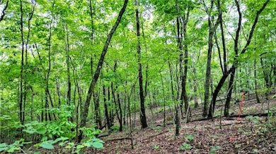 TractA Clark Dr, Jasper, GA 30143 - photo 5