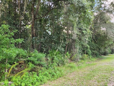 0 NW 86th St, Chiefland, FL 32626 - photo 2