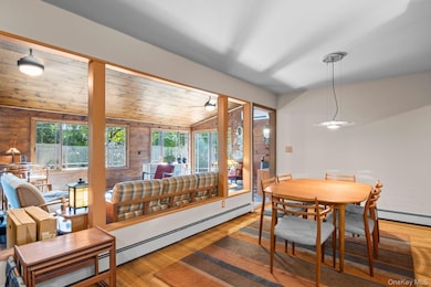 20 Huyler Rd, Setauket, NY 11733 - photo 7