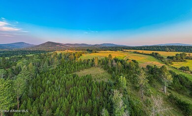 NKA W 50 Acres Peninsula Rd, Priest River, ID 83856 - photo 5