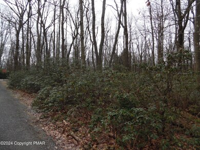 Lot E 540 Cocopah Circle Saginaw Dr, Jim Thorpe, PA 18229 - photo 4