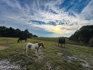 16780 Cub Run Hwy, Cub Run, KY 42729 - photo 2