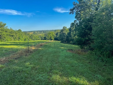 Off Hwy O unit Lot WP001, Perryville, MO 63775 - photo 2