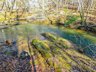 00 Woodland Ln, Dahlonega, GA 30533 - photo 7