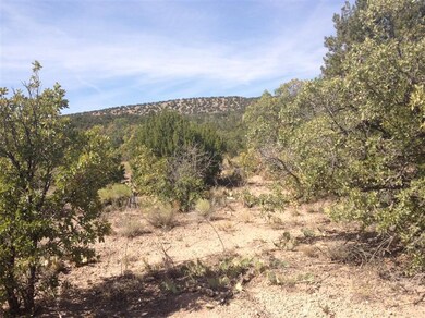 12 Camino Don Juan, Placitas, NM 87043 - photo 4