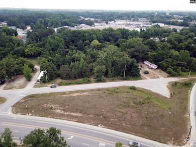 1108 Chestnut Ferry Rd, Camden, SC 29020 - photo 3