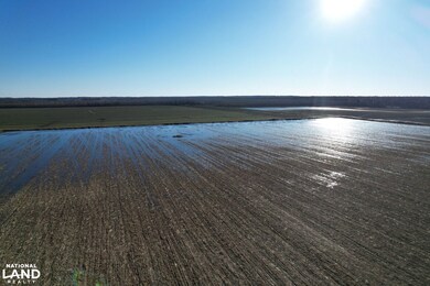 001 Il Route 3, Olive Branch, IL 62969 - photo 6