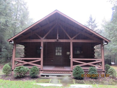 4380 Queens Run Rd, Lock Haven, PA 17745 - photo 5