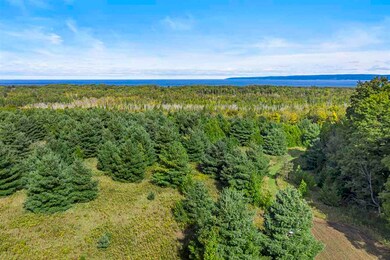 7341 Upper Bayshore Rd, Petoskey, MI 49720 - photo 7