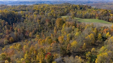 9204 Sandyville Rd NE, Mineral City, OH 44656 - photo 7