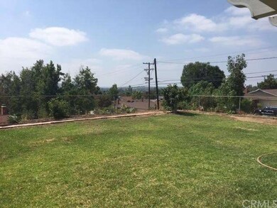 Nice green back yard lawn.