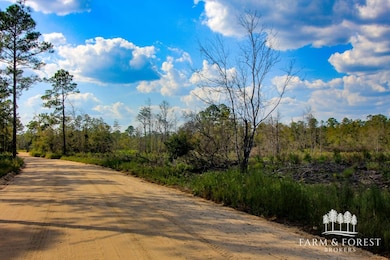 XX6 John Marsh Rd, Bonifay, FL 32425 - photo 2