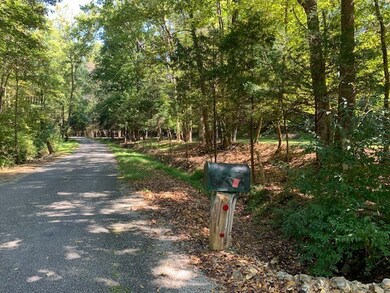 314 Old Penny Rd, Linden, TN 37096 - photo 3