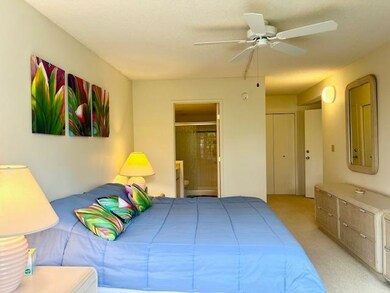 2575 S Kihei Rd unit P203, Kihei, HI 96753 - photo 6