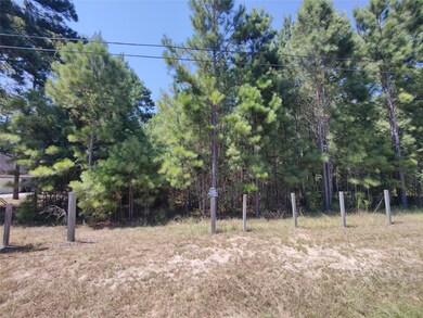 0 Fantail, Magnolia, TX 77355 - photo 2