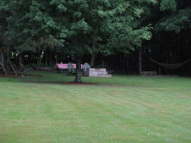 Large backyard with plenty of room...