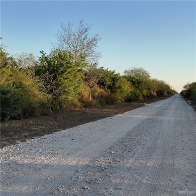 00 Cr 313, Encino, TX 78353 - photo 5