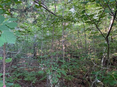 00 Great Falls Rd, Gorham, ME 04038 - photo 7