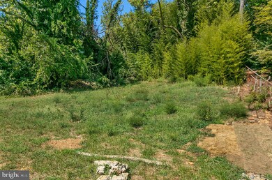 3910 Larchwood Rd, Falls Church, VA 22041 - photo 3