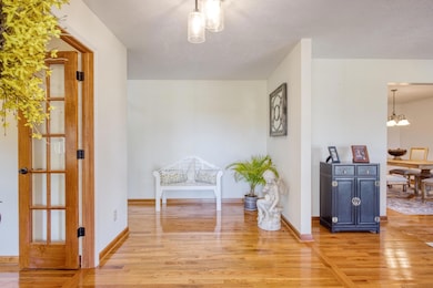 793 Flowing Well Rd, Wagener, SC 29164 - photo 4