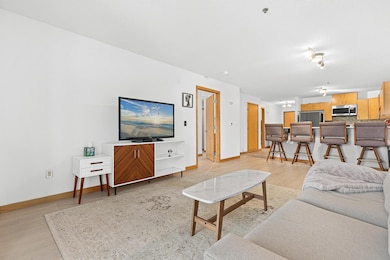 4845 W 123rd St unit 203, Savage, MN 55378 - photo 4