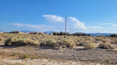6711 Nook Place, Pahrump, NV 89060 - photo 2