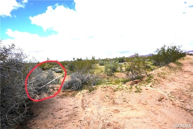 View of undeveloped land