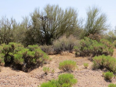 Natural Vegetation