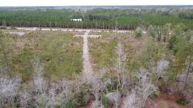 Tbd Amos Rd, Georgetown, SC 29440 - photo 3