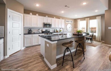 10825 Bango Farms, San Antonio, TX 78254 - photo 4