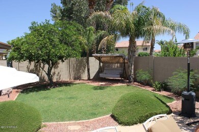 Grassy Yard