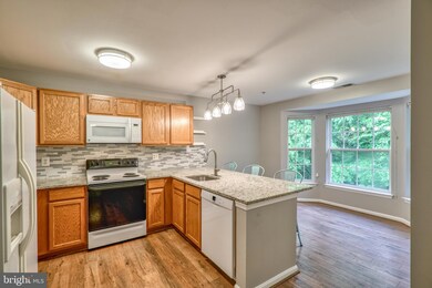 2155 Scotts Crossing Ct unit 302, Annapolis, MD 21401 - photo 5