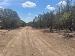 3045 Deer Ct, Weatherford, TX 76085 - photo 7