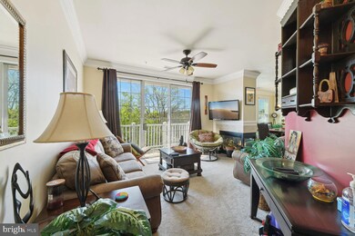 1735 Braddock Place unit 301, Alexandria, VA 22302 - photo 2