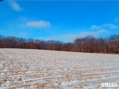 0 Gridley Rd, Virginia, IL 62691 - photo 3